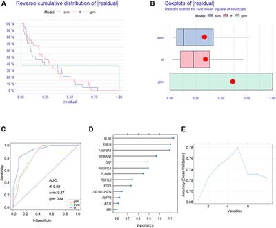 Identification of Immune-Related Biomarkers for Sciatica in Peripheral Blood